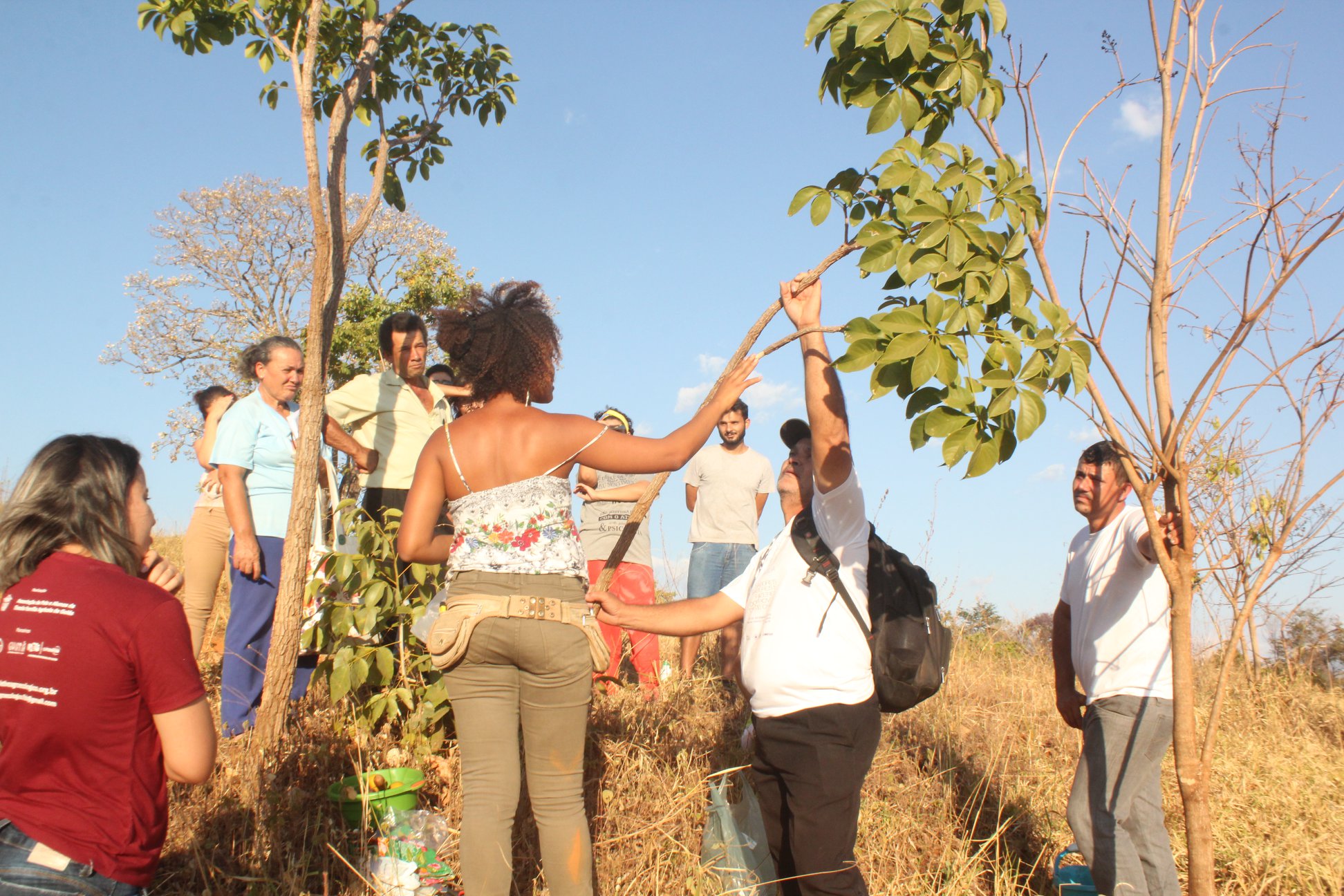 Atividade do Projeto de extensão "Plantas medicinais do cerrado", coleta e identificação de espécies. Projeto realizado em parceria com a secretaria de saúde, Núcleo de Agroecologia e Ecossistemas.