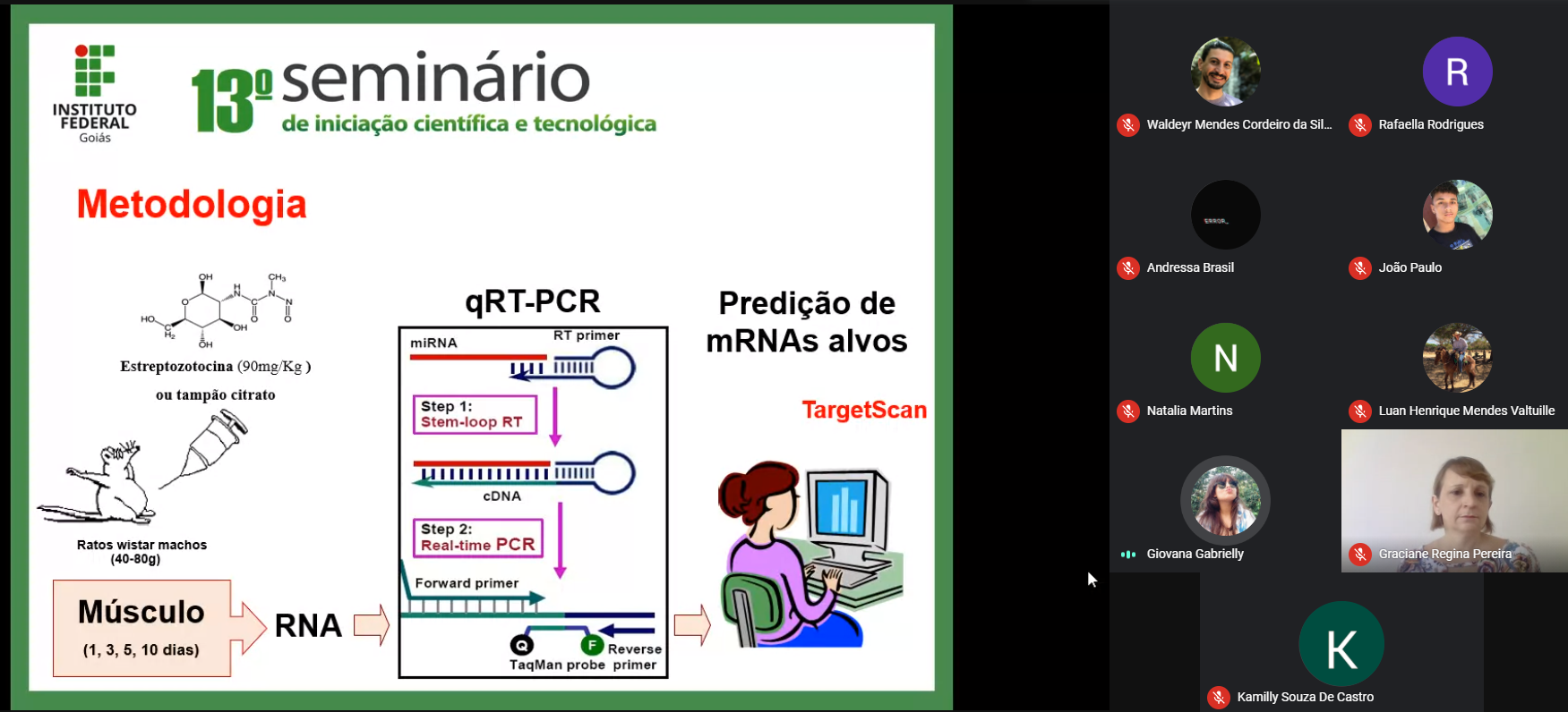 Apresentação de trabalhos no 13º SICT 